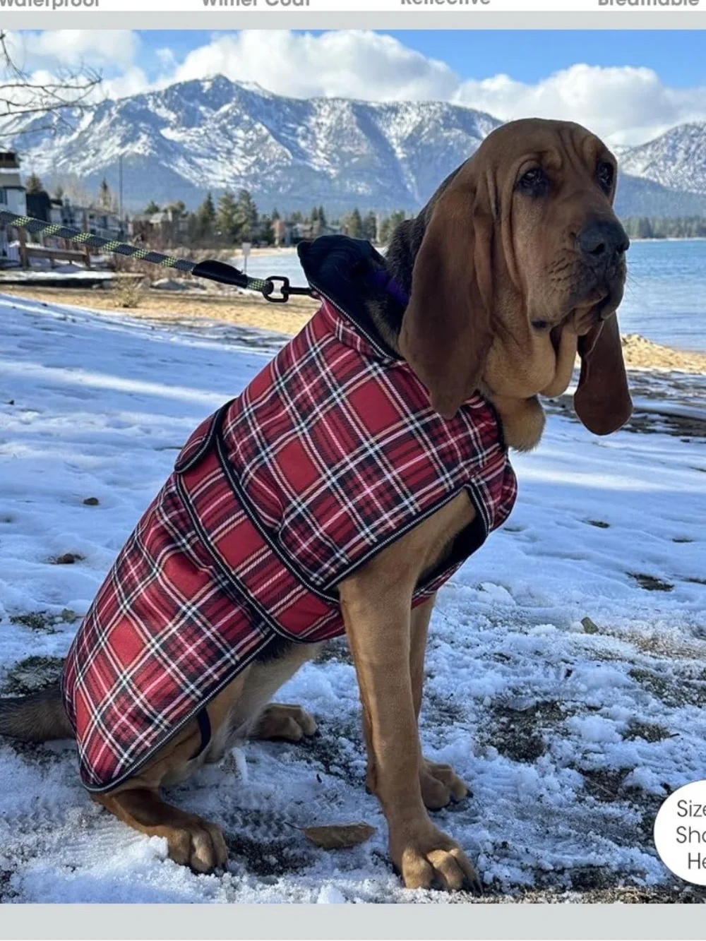 Kodiak Heavyweight Waterproof Cold Weather Dog Coat L. 2528/Db-1